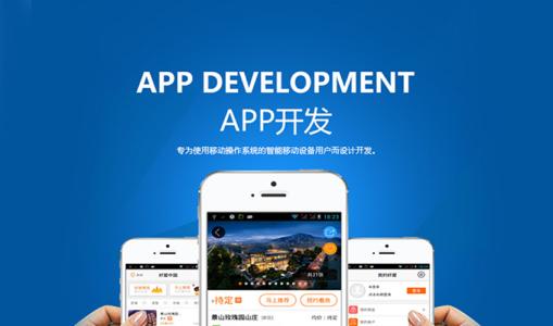 不同的APP軟件開(kāi)發(fā)模式存在的差別還是很大的